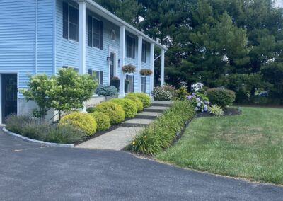 Landscape Design
